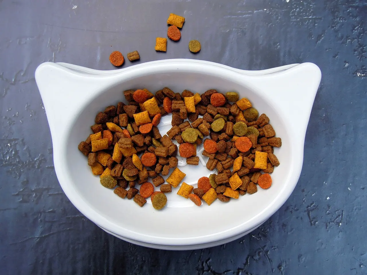 Pet Food and Treats